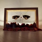 Thumbnail of decoratie