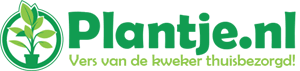 Plantje.nl