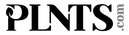 Plnts.com